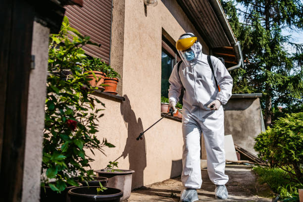 Best Commercial Pest Control Services  in Dixmoor, IL