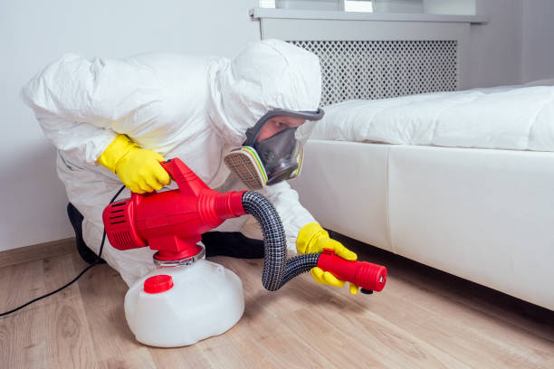Best Pest Removal Services  in Dixmoor, IL