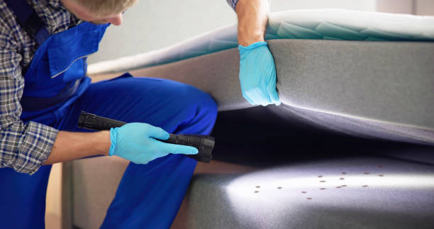Best Mosquito Control Services  in Dixmoor, IL